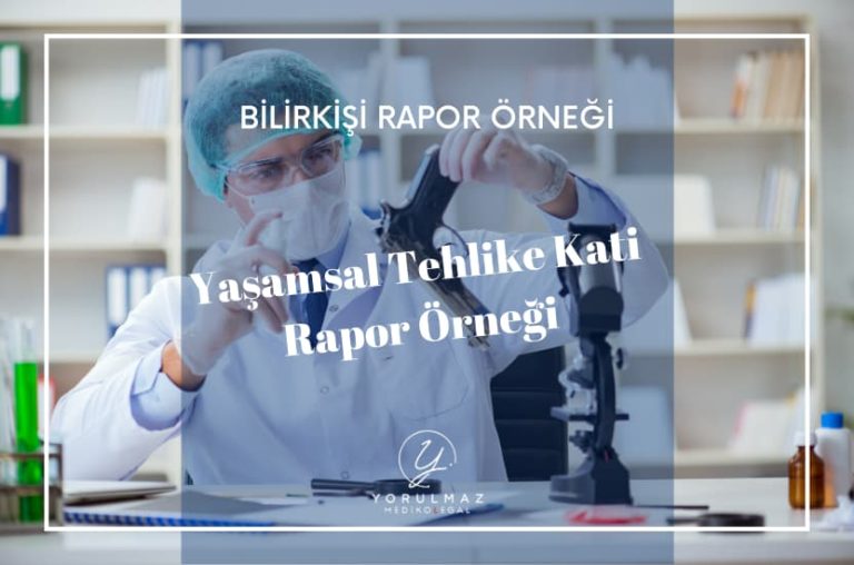 Yaşamsal Tehlike Kati Bilirkişi Rapor Örneği
